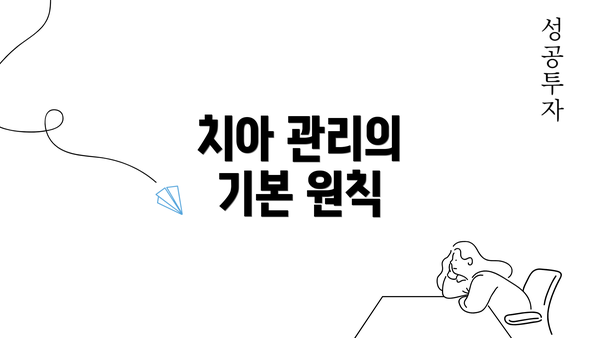 치아 관리의 기본 원칙