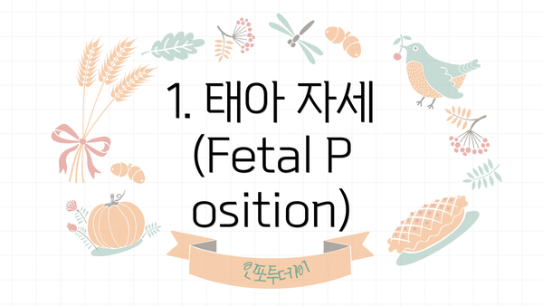 1. 태아 자세 (Fetal Position)