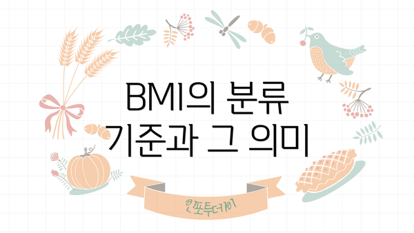 BMI의 분류 기준과 그 의미