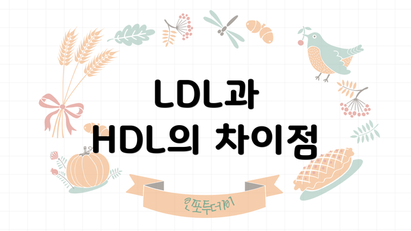 LDL과 HDL의 차이점