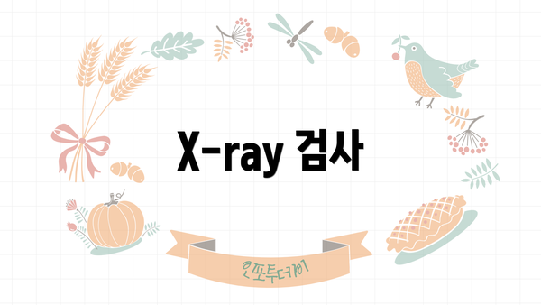 X-ray 검사