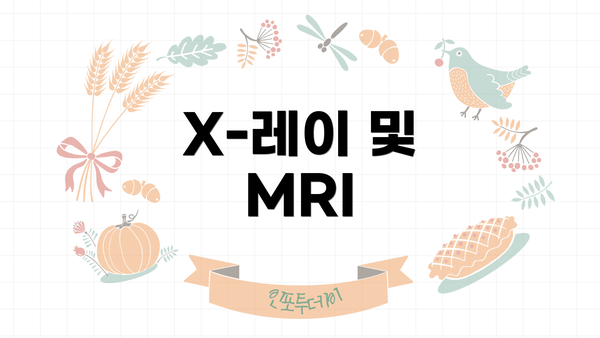 X-레이 및 MRI