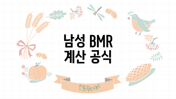 남성 BMR 계산 공식