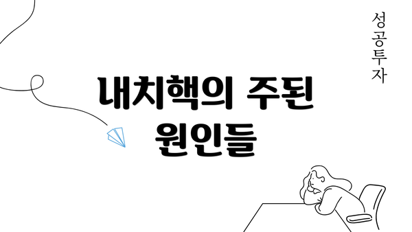 내치핵의 주된 원인들