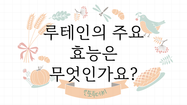 루테인의 주요 효능은 무엇인가요?