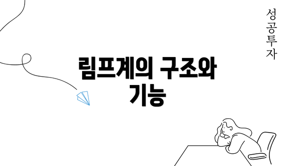 림프계의 구조와 기능