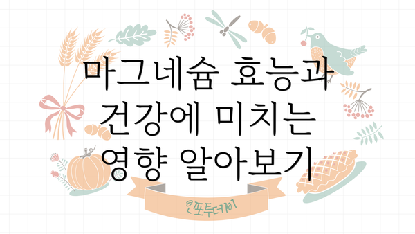 마그네슘 효능과 건강에 미치는 영향 알아보기