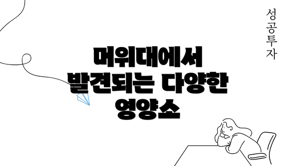 머위대에서 발견되는 다양한 영양소