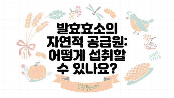 발효효소의 자연적 공급원: 어떻게 섭취할 수 있나요?