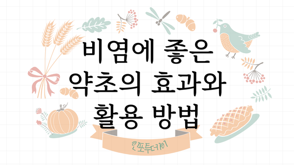 비염에 좋은 약초의 효과와 활용 방법