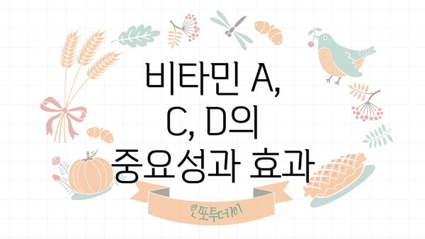 비타민 A, C, D의 중요성과 효과