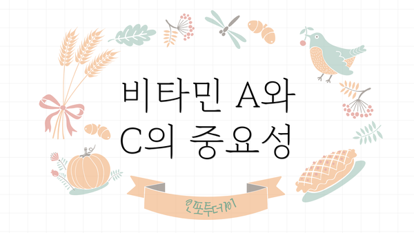 비타민 A와 C의 중요성
