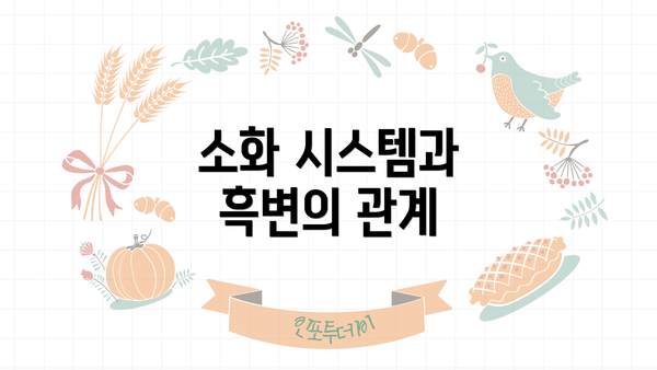 소화 시스템과 흑변의 관계