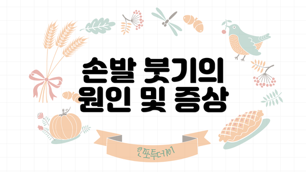 손발 붓기의 원인 및 증상