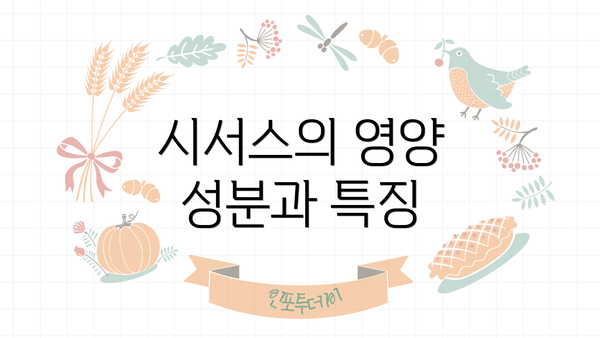 시서스의 영양 성분과 특징