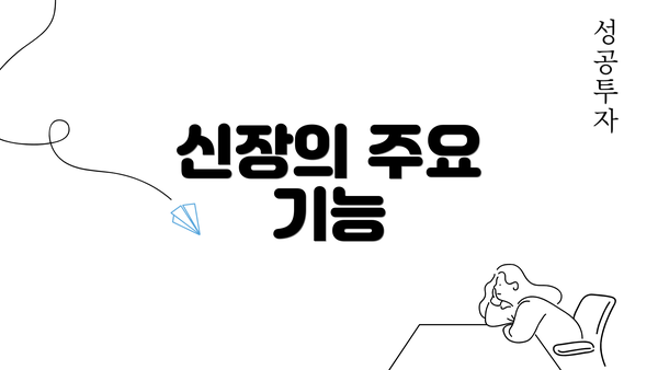 신장의 주요 기능