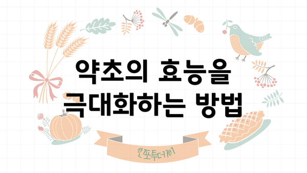 약초의 효능을 극대화하는 방법