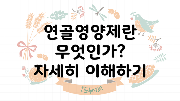 연골영양제란 무엇인가? 자세히 이해하기