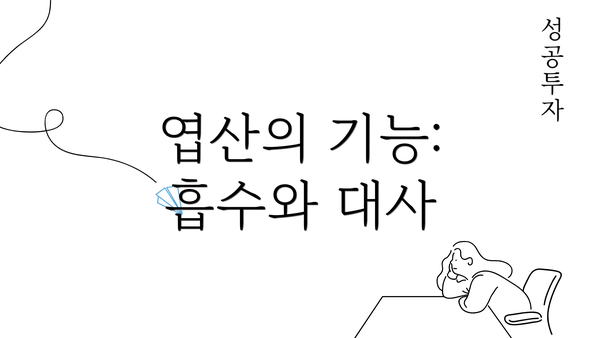 엽산의 기능: 흡수와 대사