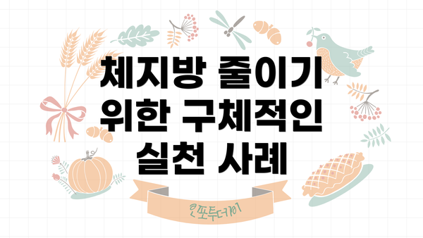 체지방 줄이기 위한 구체적인 실천 사례