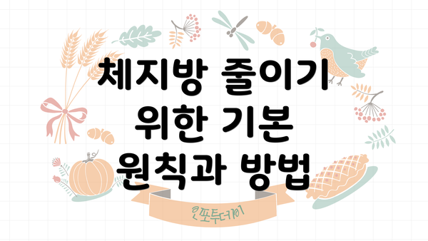 체지방 줄이기 위한 기본 원칙과 방법