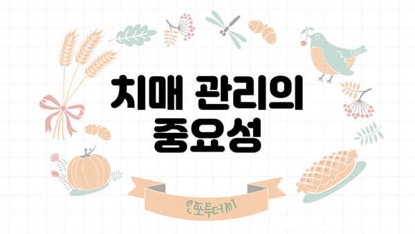 치매 관리의 중요성