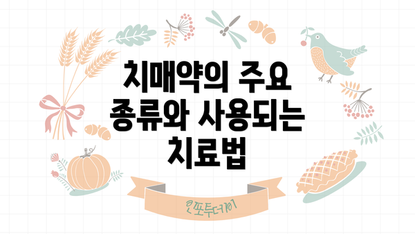 치매약의 주요 종류와 사용되는 치료법