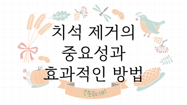 치석 제거의 중요성과 효과적인 방법