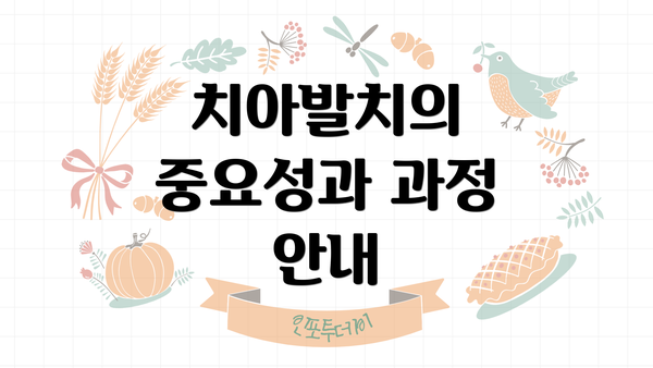 치아발치의 중요성과 과정 안내