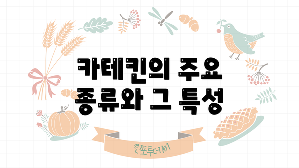 카테킨의 주요 종류와 그 특성