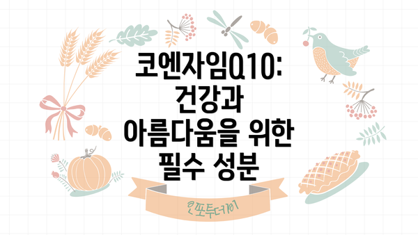 코엔자임Q10: 건강과 아름다움을 위한 필수 성분