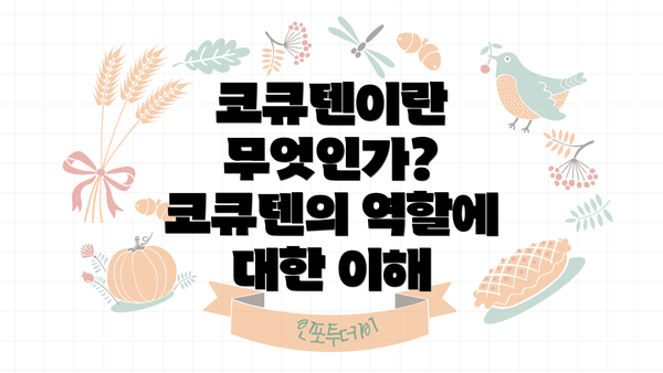 코큐텐이란 무엇인가? 코큐텐의 역할에 대한 이해