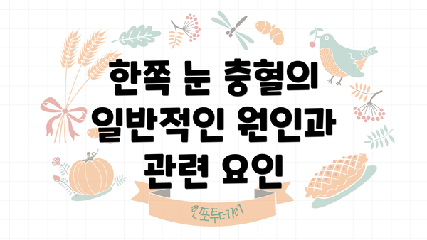 한쪽 눈 충혈의 일반적인 원인과 관련 요인