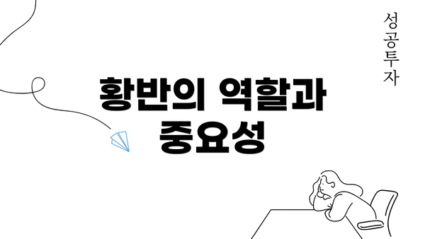 황반의 역할과 중요성