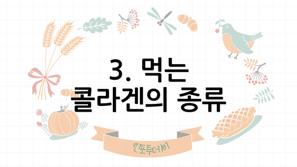 3. 먹는 콜라겐의 종류