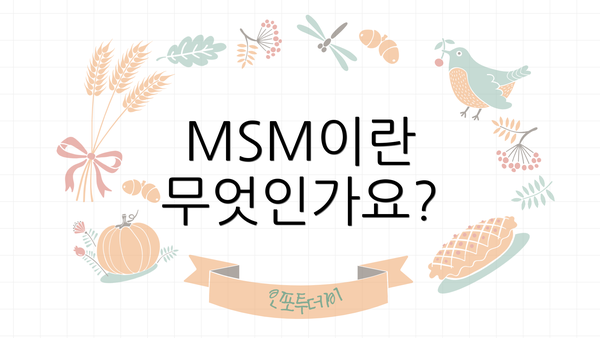 MSM이란 무엇인가요?