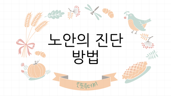 노안의 진단 방법
