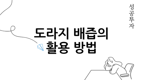 도라지 배즙의 활용 방법