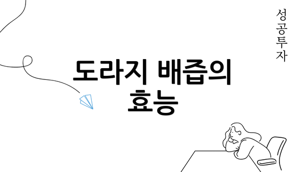 도라지 배즙의 효능