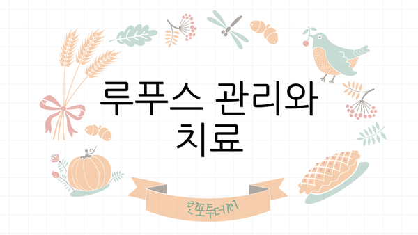 루푸스 관리와 치료