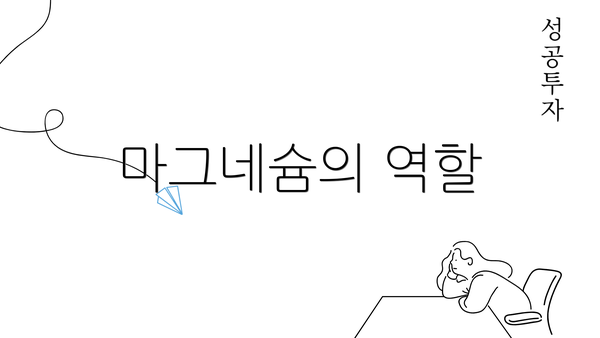 마그네슘의 역할