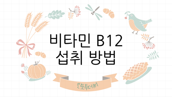 비타민 B12 섭취 방법