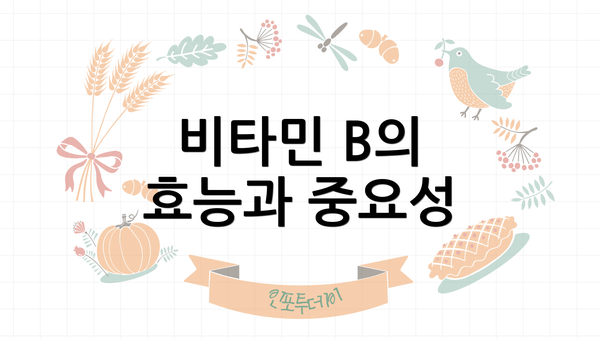 비타민 B의 효능과 중요성