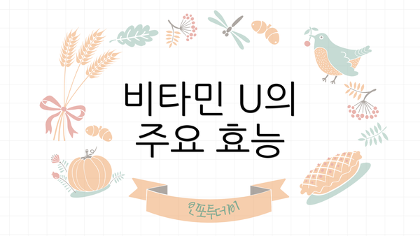 비타민 U의 주요 효능