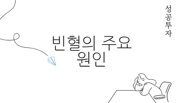 빈혈의 주요 원인