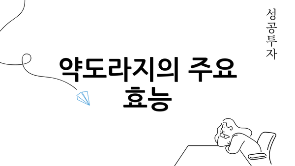 약도라지의 주요 효능