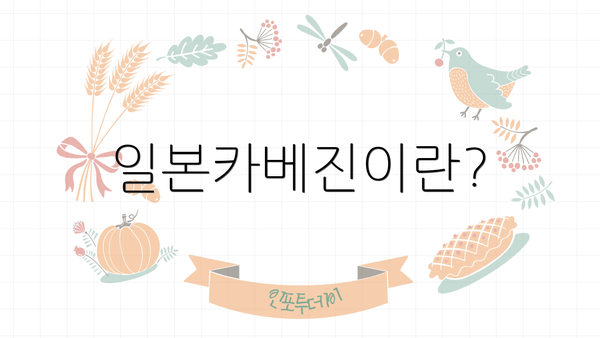 일본카베진이란?