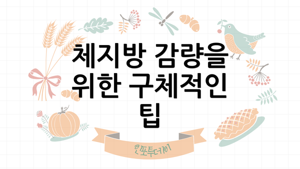 체지방 감량을 위한 구체적인 팁