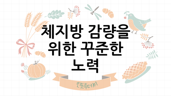 체지방 감량을 위한 꾸준한 노력