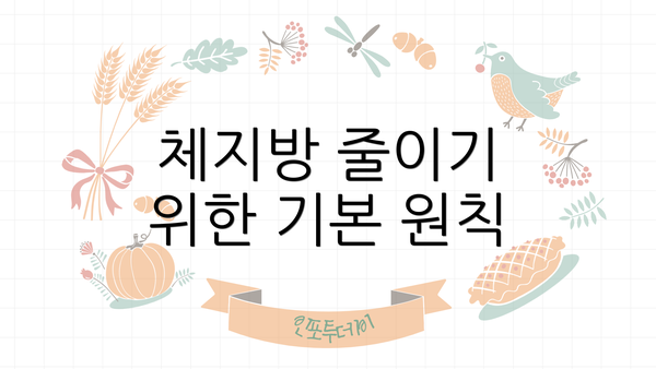 체지방 줄이기 위한 기본 원칙